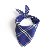 Blue Furberry Bandana