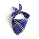 Blue Furberry Bandana