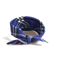 Blue Furberry Bandana