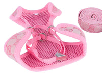 Pucci Harness & Leash